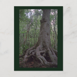 Postal del Personalizado de Artefactos Forestales