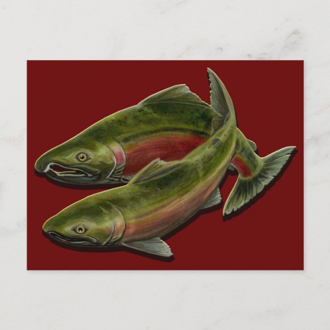 Postal del Personalizado de la tarjeta de pesca Sa (Anverso)