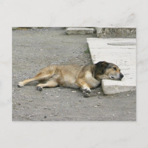postal del personalizado del perro cansado