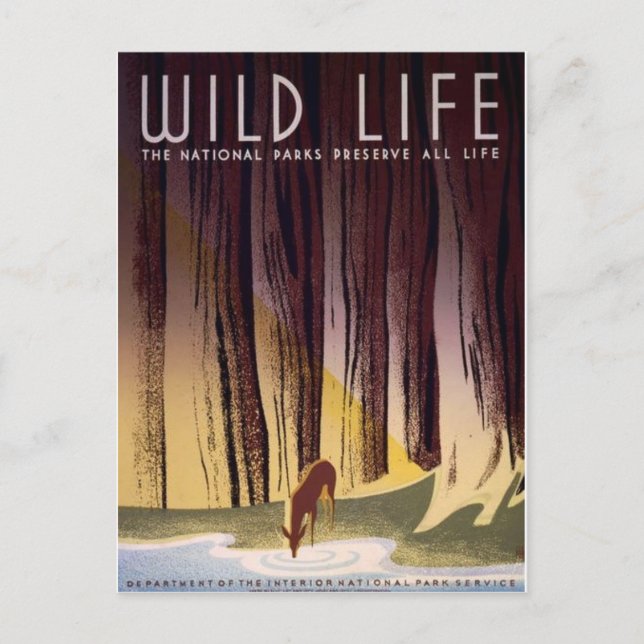 Postal del Poster de Parques Nacionales WPA (Anverso)