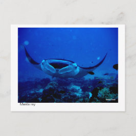 postal del rayo de manta - 01