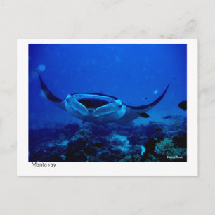 postal del rayo de manta - 01