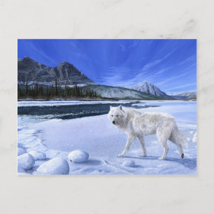 Postal del río de lobo blanco Patrol por la mañana