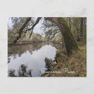 Postal del río Suwannee