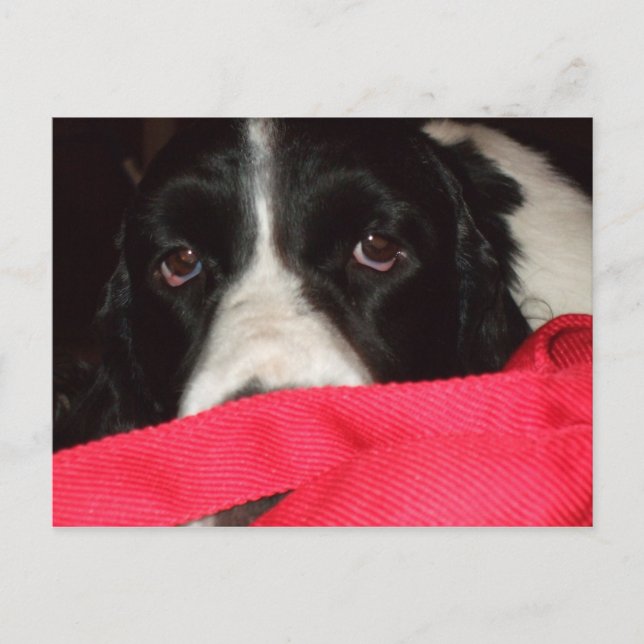 Postal del saltador (Anverso)