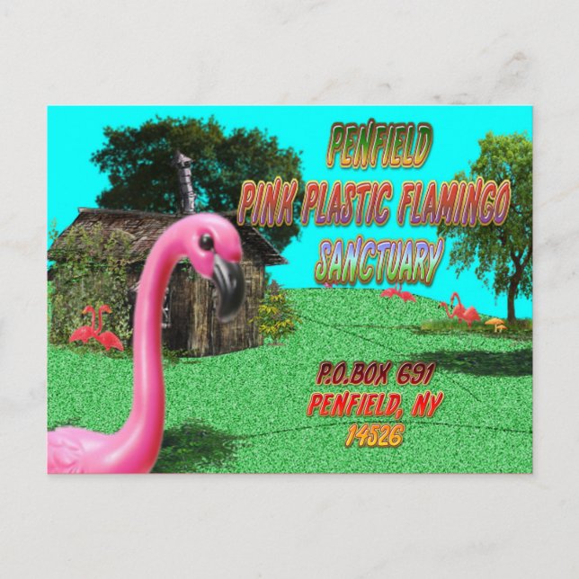 postal del santuario de flamingo de plástico rosa  (Anverso)