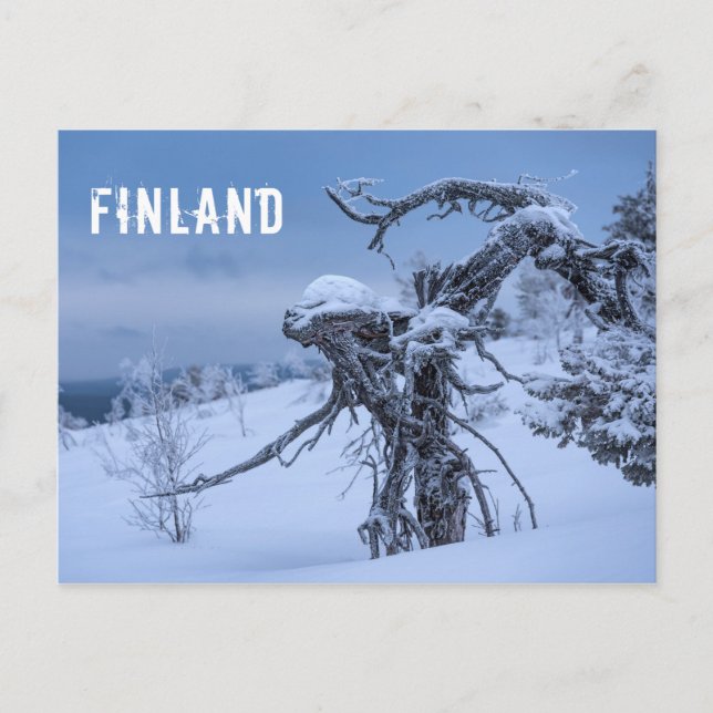 Postal del turista de Finlandia (Anverso)