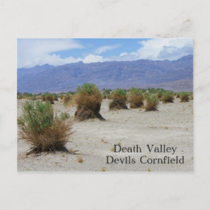 Postal del Valle de la Muerte de Guay!