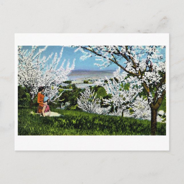 Postal del Valle de Santa Clara (Anverso)