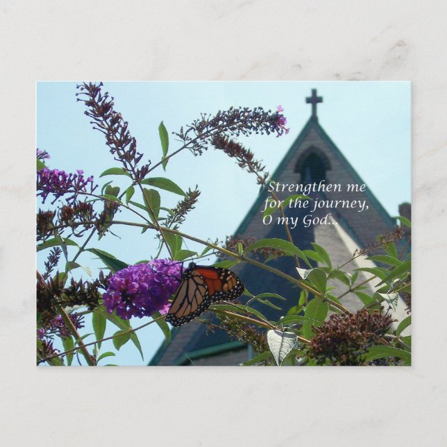 Postal del viaje (Anverso)