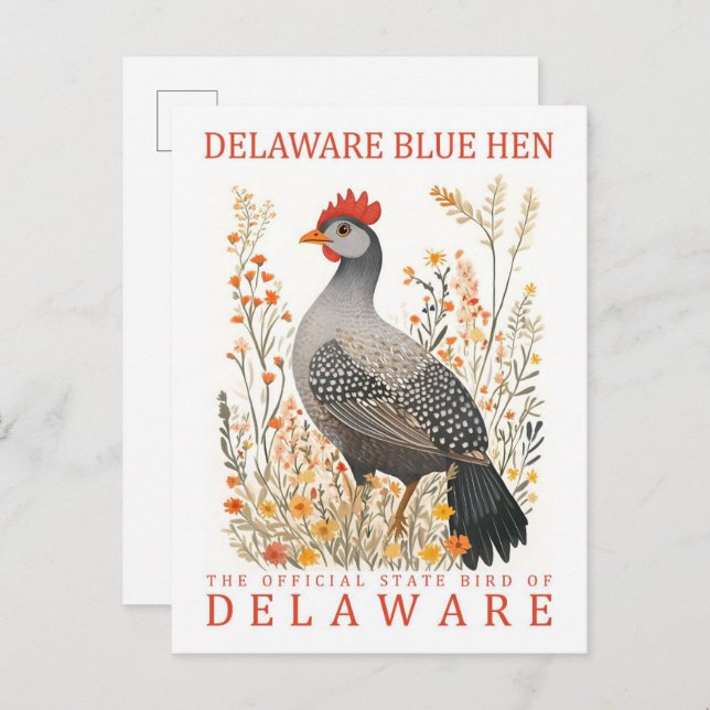 Postal Delaware Blue Hen Bird of Delaware USA Travel (Anverso / Reverso)