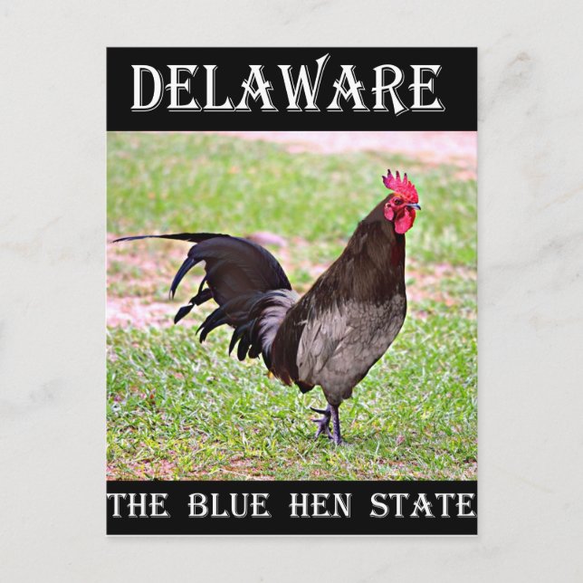 Postal Delaware Blue Hen (Rooster) (Anverso)