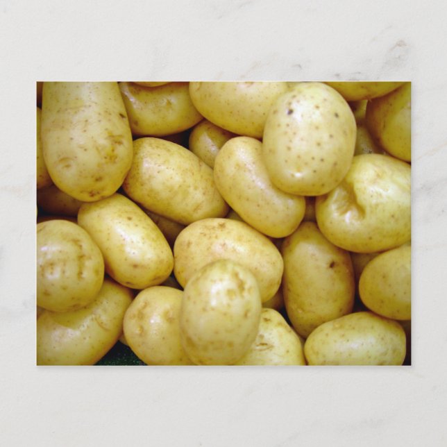 Postal Delaware potatoe (Anverso)