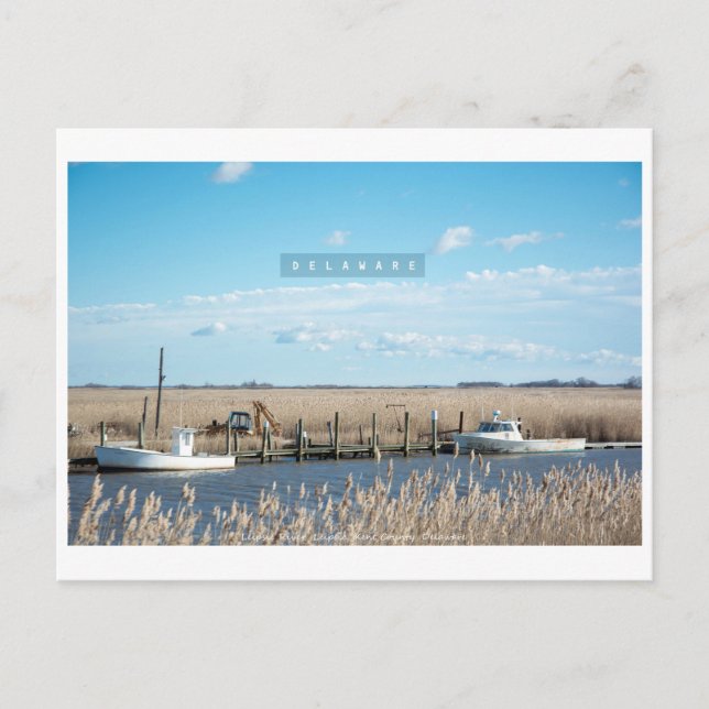 Postal Delaware rural y salvaje. (Anverso)