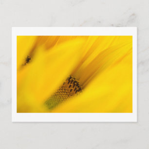 Postal deleite en el misterio