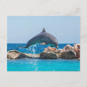 Postal Delfín