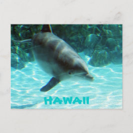Postal Delfín de Hawaii