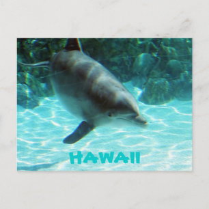 Postal Delfín de Hawaii