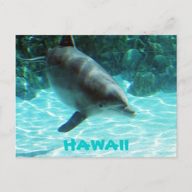 Postal Delfín de Hawaii (Anverso)