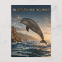 Delfín de Nariz de Botella Océano Costero ANIMALES
