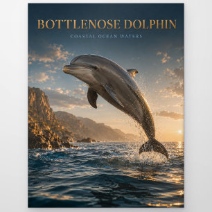 Postal Delfín de Nariz de Botella Océano Costero ANIMALES