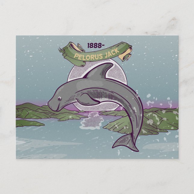 Postal Delfín de Risso de Pelorus Jack (Anverso)
