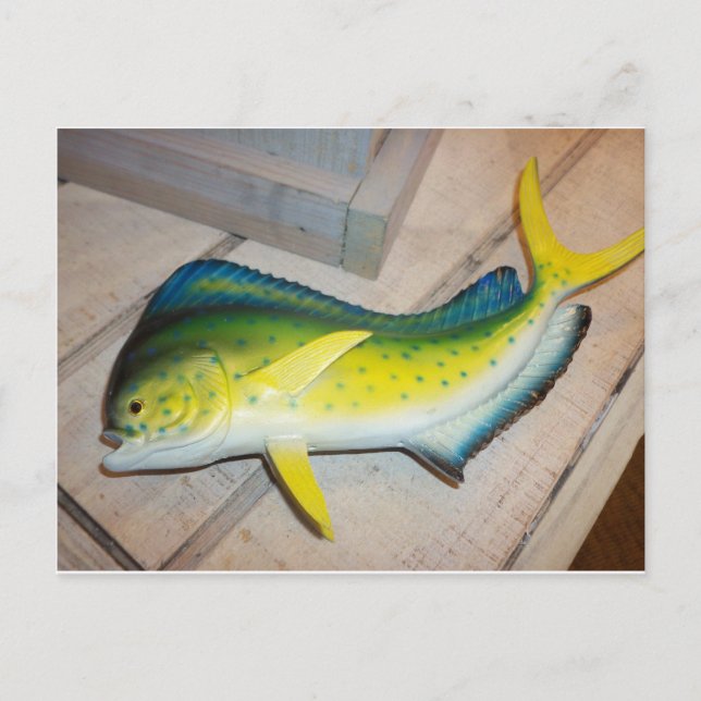 Postal Delfín El Pescado (No El Mammal) (Anverso)