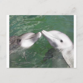 Postal Delfines