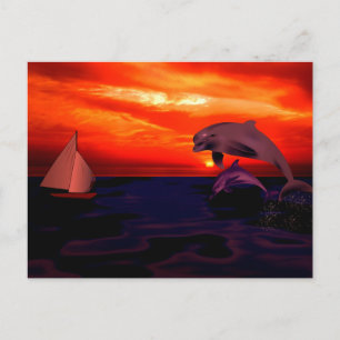 Postal Delfines al atardecer