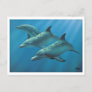 Postal Delfines de Andrew Patsalou