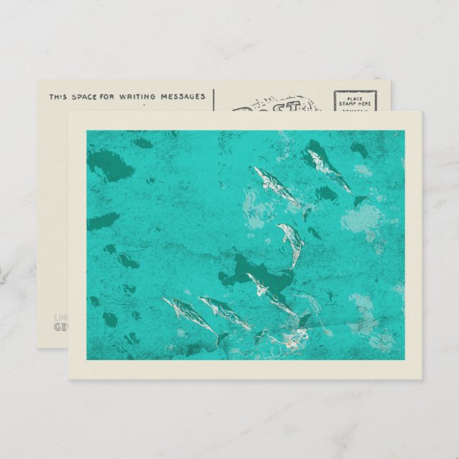 Postal Delfines del mar Caribe (Anverso / Reverso)