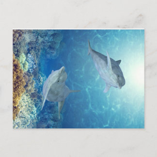 Postal delfines felices