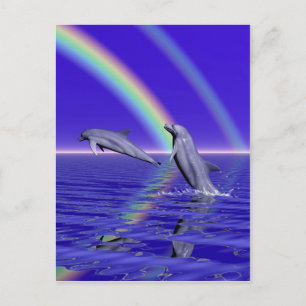 Postal Delfines y arcoiris