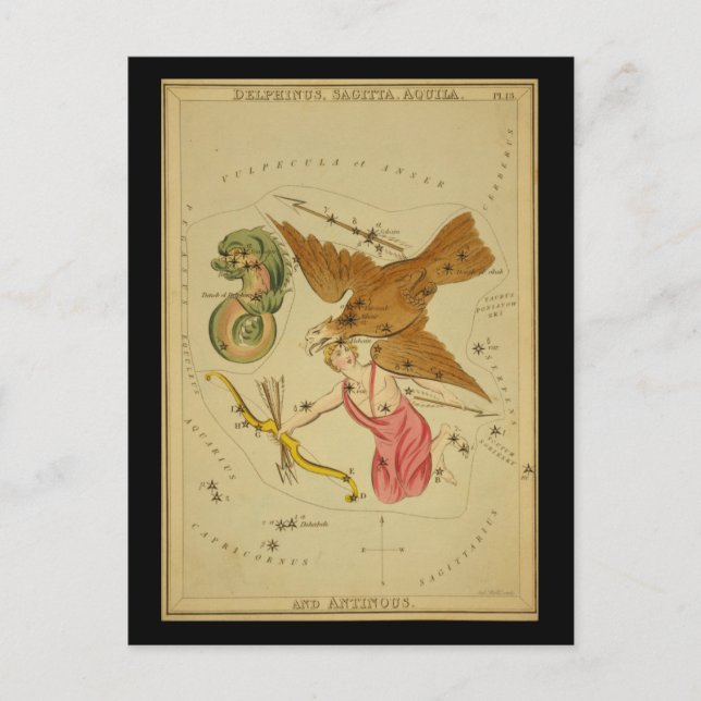 Postal Delfino, sagita, acula y antineo (Anverso)