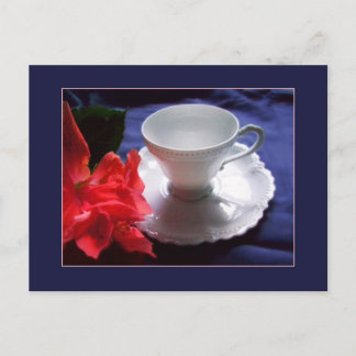 Postal Delicada Demitasse Blanca