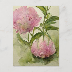 Postal Delicadas peonías rosadas