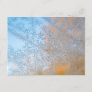 Postal Delicado patrón de heladas, Wisconsin