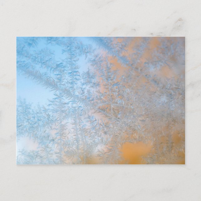 Postal Delicado patrón de heladas, Wisconsin (Anverso)