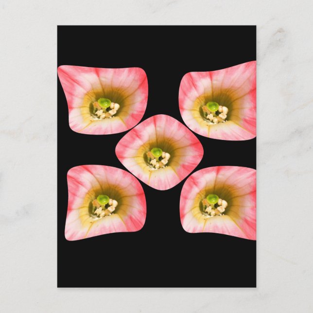 Postal Delicia floral (Anverso)
