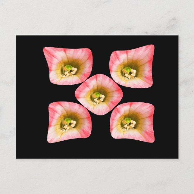 Postal Delicia floral (Anverso)