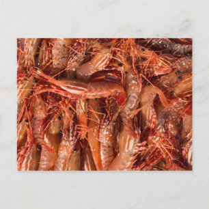 Postal Deliciosos Langostinos