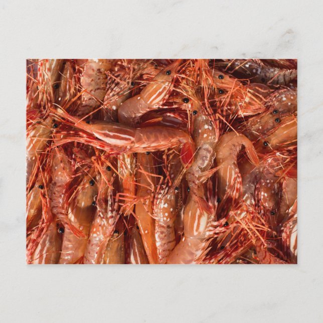 Postal Deliciosos Langostinos (Anverso)