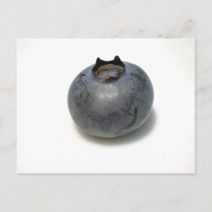 Postal Delicious Blueberry