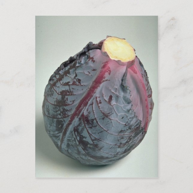 Postal Delicious Cabbage (Anverso)