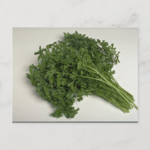 Postal Delicious Parsley