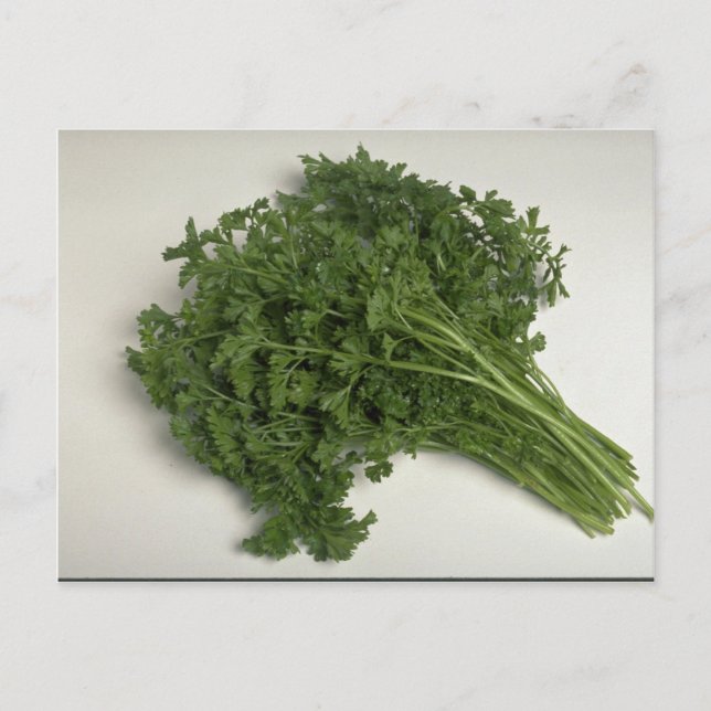 Postal Delicious Parsley (Anverso)