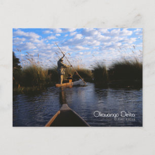 Postal Delta del Okavango