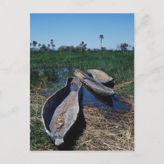 Postal Delta Okavango de Mokoro, Botswana (Anverso)