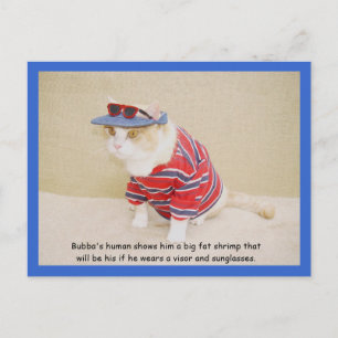 Postal Demasiado Guay Bubba Kitty