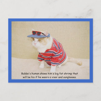 Postal Demasiado Guay Bubba Kitty